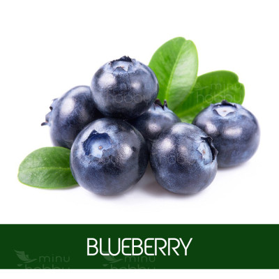 Aroomiõli lastele Blueberry